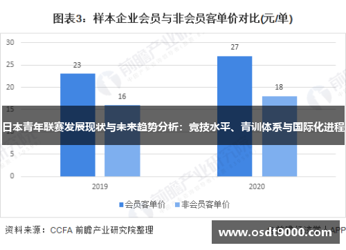 日本青年联赛发展现状与未来趋势分析：竞技水平、青训体系与国际化进程