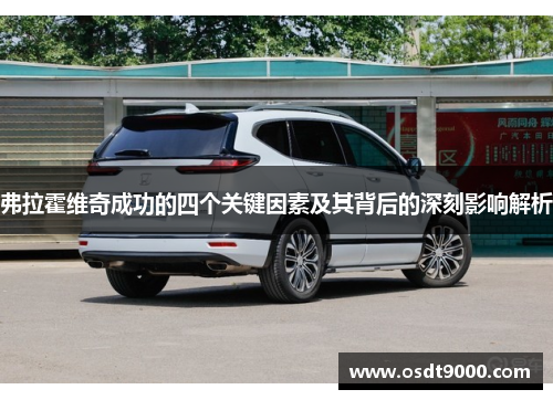 弗拉霍维奇成功的四个关键因素及其背后的深刻影响解析