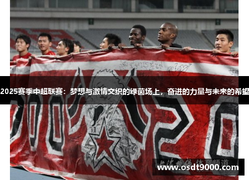 2025赛季中超联赛：梦想与激情交织的绿茵场上，奋进的力量与未来的希望