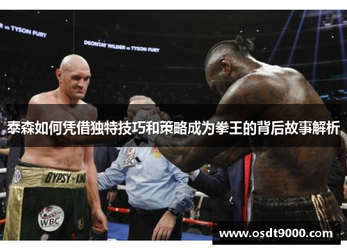 泰森如何凭借独特技巧和策略成为拳王的背后故事解析