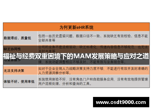 福祉与经费双重困境下的MAM发展策略与应对之道