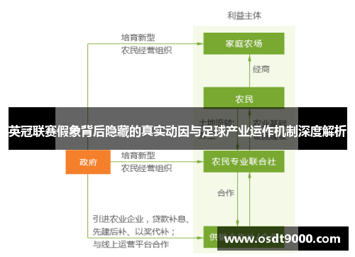 英冠联赛假象背后隐藏的真实动因与足球产业运作机制深度解析