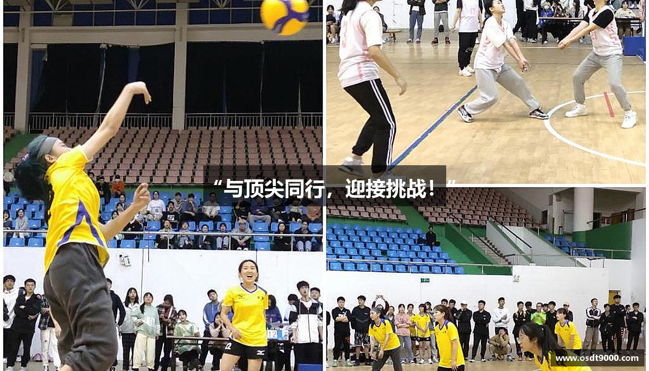 “与顶尖同行，迎接挑战！”
